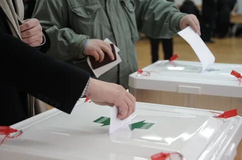 Подложка выборы