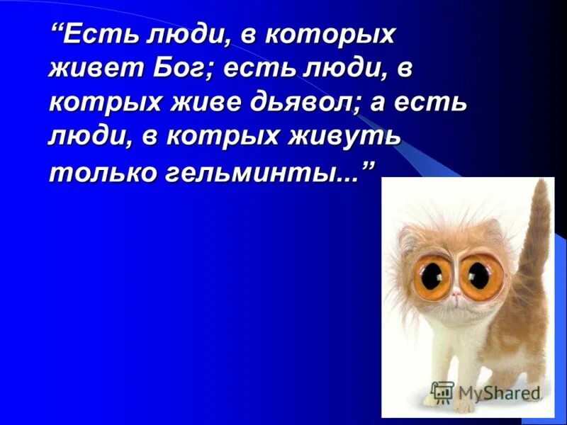 есть люди в которых живет бог. есть люди в которых живет бог. фаина раневская высказывания. раневская цитаты и афоризмы мудрые. высказывания фаины раневской.