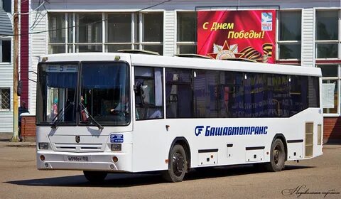 Автобус нефтекамск михайловка