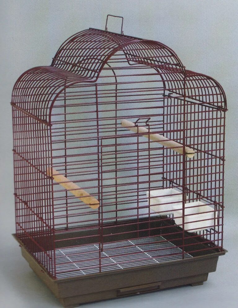 Triol клетка для мелких и средних птиц 1302g 520*410*590 мм. Клетка ц. Хомяков пенза. Midwest клетка icrate 122х76х84h см 2 двери черная. 5см.