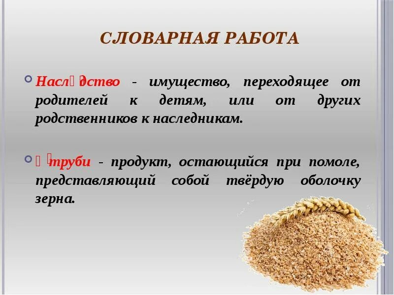 Ядро пшеницы. Витамины в хлебе и крупах. Зерновка. Оболочка зерна. Отруби и оболочки зёрен различия.