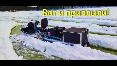 Ураган тайга