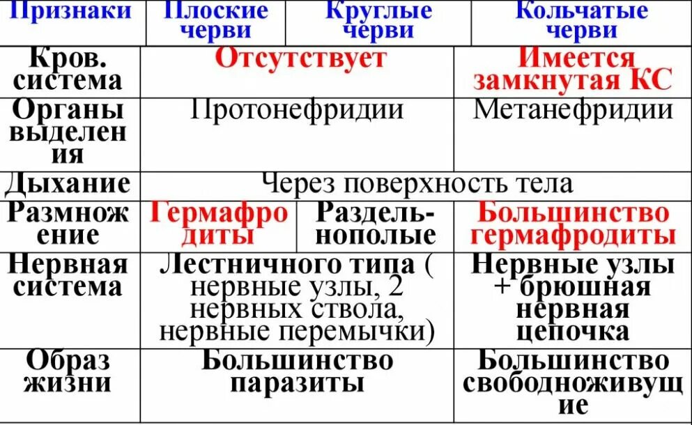 Отличия круглых червей. Плоские круглые и кольчатые черви таблица. таблица плоских круглых и кольчатых червей. признаки плоских круглых и кольчатых червей. таблица плоские черви круглые черви кольчатые черви.