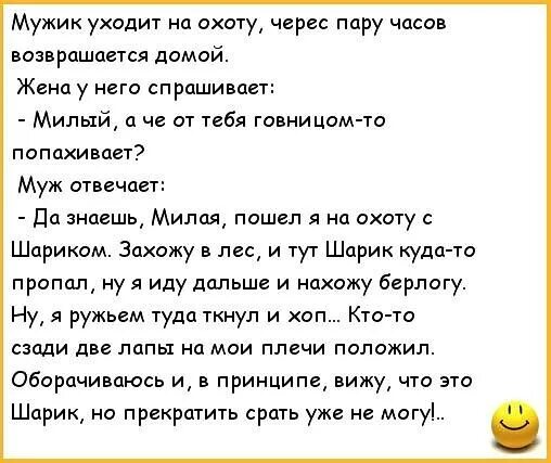 Был напуган анекдот. Анекдот про перспективу у шарика. анекдот про шарика. анекдот про большие перспективы.