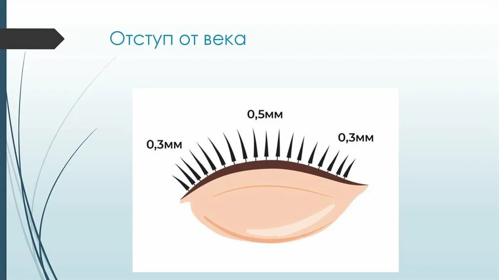 Ресницы для наращивания состав. Направление ресниц и отступ от века. Пучок 5 д ресницы схема. Отступ при наращивании ресниц. Классика наращивания схема отступ.