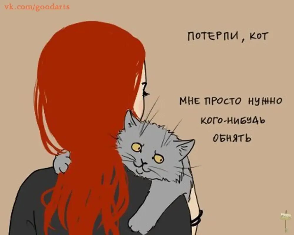 Люблю котика. Девушка обнимает котика. Кот обнимает. Мне нужны котики. Ненавижу рыжих