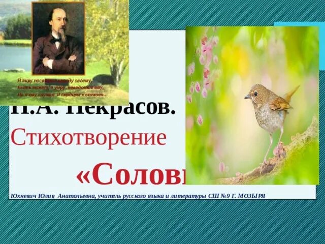 Тематика стихотворения песня соловья. Соловьи Некрасов. Стихотворение соловьи. Соловьи Некрасов иллюстрации. Стих Некрасова соловьи.