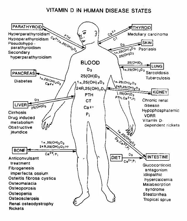 Human disease. Антагонизм витамина д.