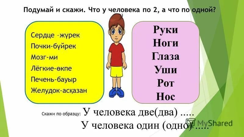 приставки в русском языке 3 класс таблица с примерами. мое тело для дошкольников. приставки в русском языке список таблица. карточки части тела для детей. названия частей тела на древнерусском языке.