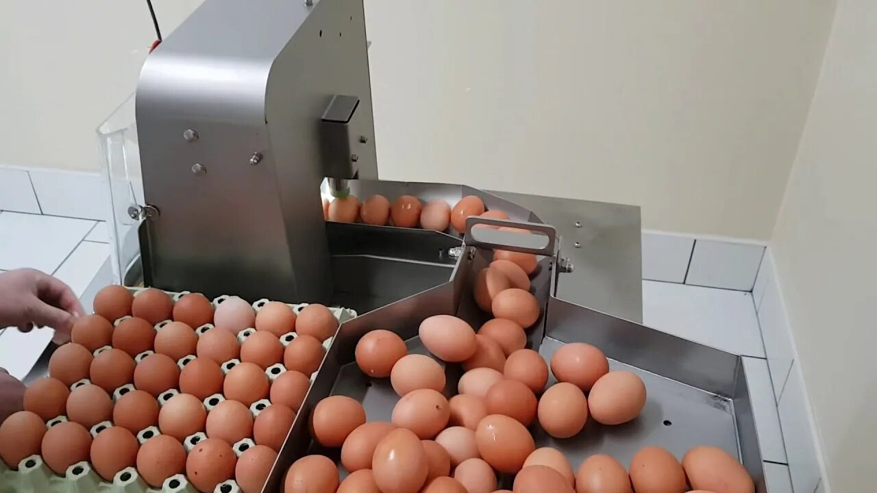 Реклама машинки для яиц. Центрифуга для яиц UDTJ-150. Мойка для яиц MT-3 ovo-Tech. Машина для разбивания яиц ovo Tech. Яйцебитная машина UDTJ 150.