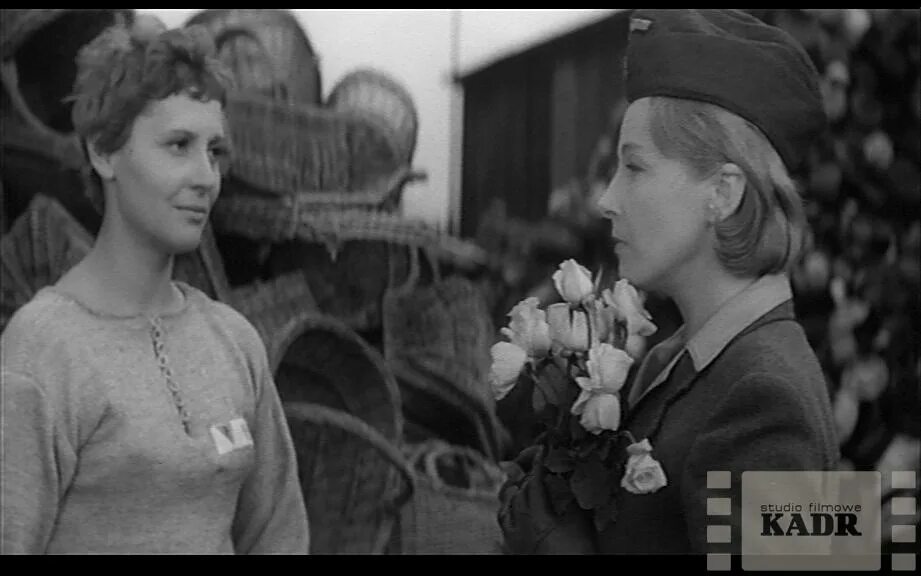 Фильм пассажирка 1963 года википедия. Пассажирка 1963. , польша] постер фильма. Анджей мунк пассажирка 1963. Пассажирка фильм 1963.