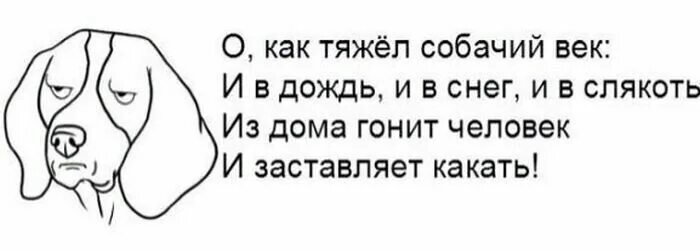 Гонит почему и. О как тяжёл собачий век. О как тяжёл собачий век и в дождь и в снег. О как тяжёл собачий век и в дождь и в снег и в слякоть. Тяжел и ...собачий век гонит человек.