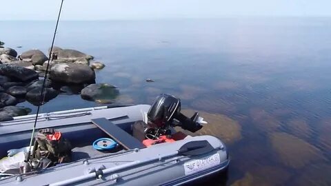 Нднд под 9.8