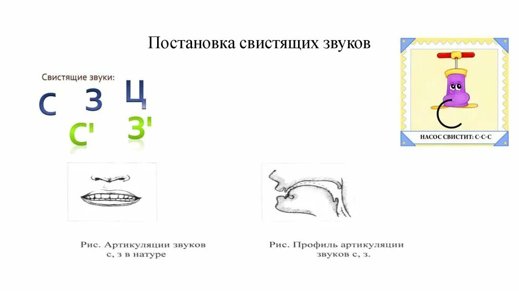 Постановка свистящих звуков у дошкольников. Постановка и автоматизация свистящих звуков. Порядок логопедической коррекции свистящих звуков. Постановка звука с.