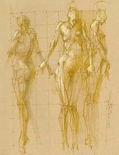 Female anatomy