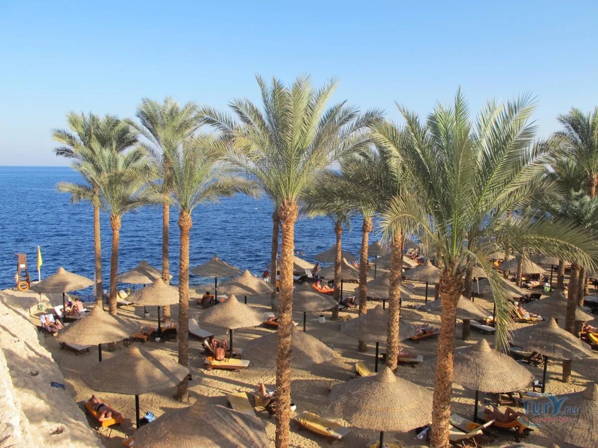 The grand hotel sharm el sheikh. Grand Hotel Sharm 5 Египет. The Grand Hotel 5 Шарм-Эль-Шейх. Гранд отель Шарм-Эль-Шейх 5. Гранд отель Шарм 5 Египет.