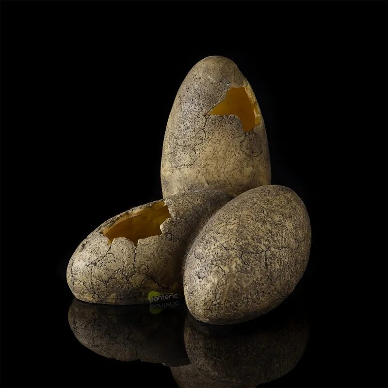 EXO Terra Dinosaur Eggs. Динозавр с яйцом. Яйца динозавров фото. Кладка яиц EXO Terra.