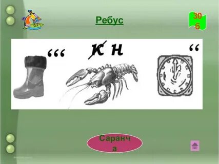 Ребус насекомые