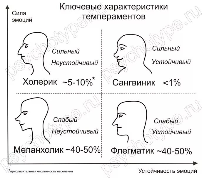 меланхоличная внешность. темпераменты внешность. темпераменты внешность. темпераменты внешность. темпераменты внешность.