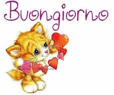 Buongiorno