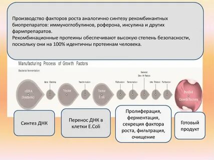 Фактор роста 3 5
