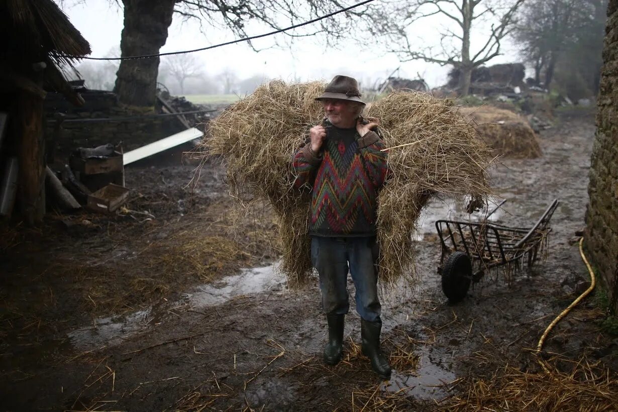 Bune farmer