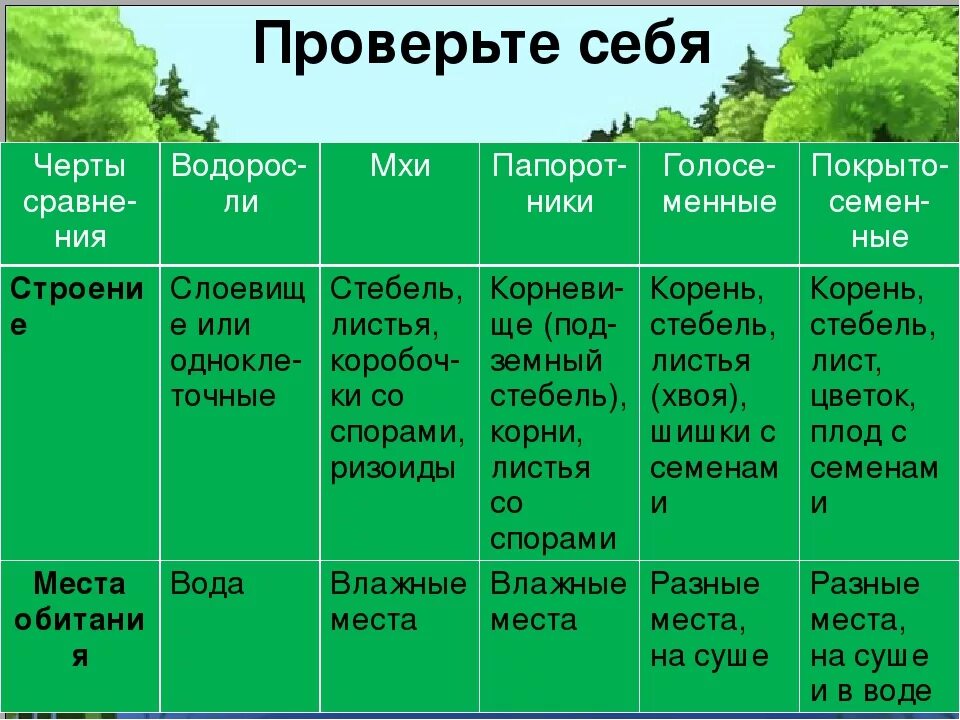 Сравнение мхов и папоротников таблица. Сравнение водорослей и мхов биология 5. Мхи водоросли папоротники Голосеменные. Таблица водоросли мхи папоротники Голосеменные и Покрытосеменные.