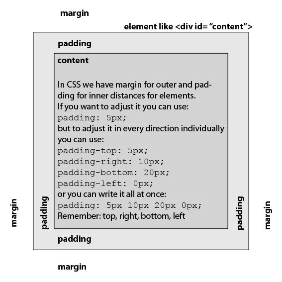 Html style margin top. Html padding margin. margin css. тег margin в css. margin в таблице html.