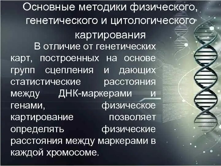 Генетические различия людей. Современные методы картирования хромосом. Генетические карты вирусов. Цитологическая организация хромосом. Физическое картирование ДНК.