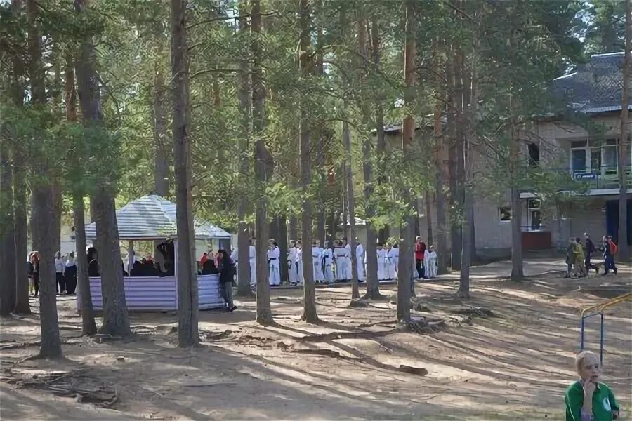 Тематика летнего лагеря. Детский лагерь гверстянец новгородская область. Гверстянец великий новгород лагерь. Детский лагерь новгород. Чайка зеленый город лагерь нижний новгород.