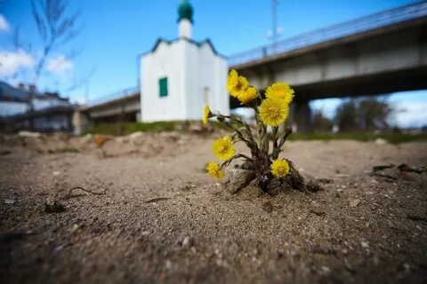 Весеннее равноденствие 2024 картинки