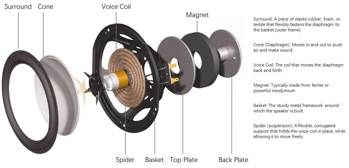 How speaker works