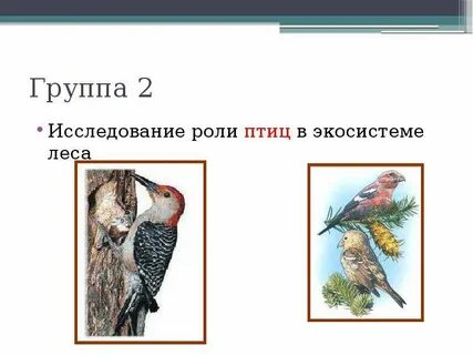 Роль птички