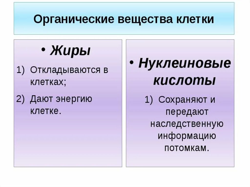 Функция органических и неорганических веществ. Органические вещества клетки. Органические вещества клетки таблица. Органические и неорганические вещества клетки. Органические вещества клетки 5 класс.