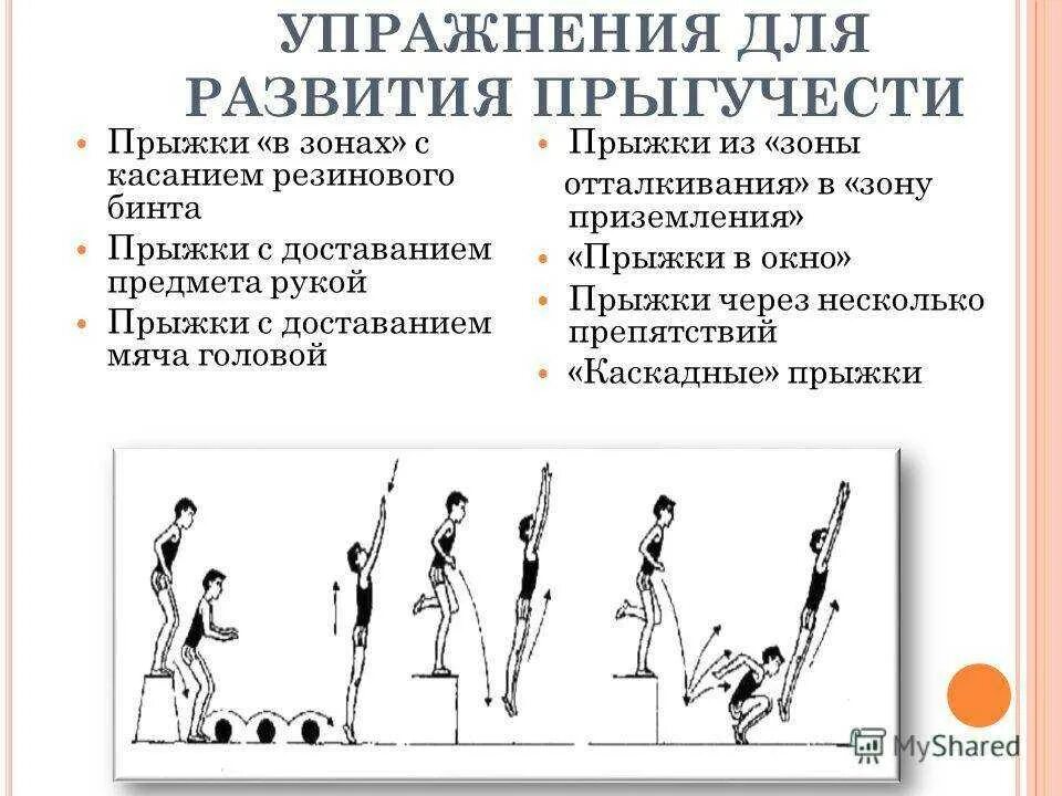Какой вид прыжков используется как тренировочное средство. Упражнения для развития прыгучести в длину. упражнения для развития прыгучести у волейболистов. план тренировок для прыжка в волейболе. прыжковые упражнения для прыжков в высоту.