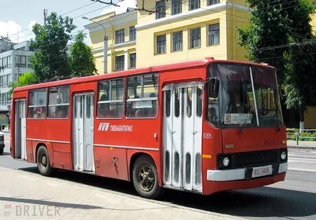 260 белорусских