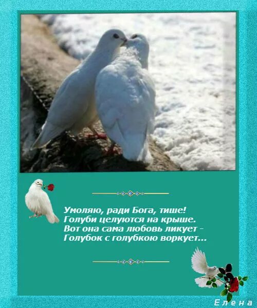 Песня голубок с голубкою воркует