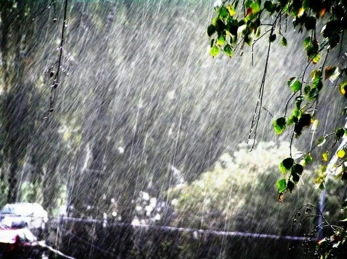 Стучит по земле. Летний ливень. Сильный дождь. Сильный ливень. Летний дождь.