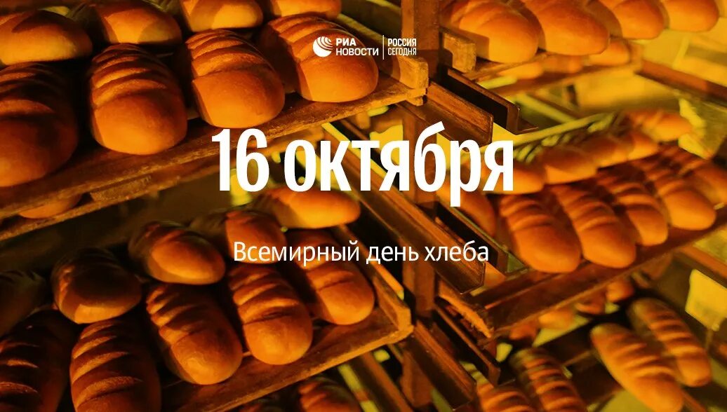 Где 16 октября. День хлеба. Международный день хлеба. Картинки октября Всемирный день хлеба. Стенгазета Всемирный день хлеба.