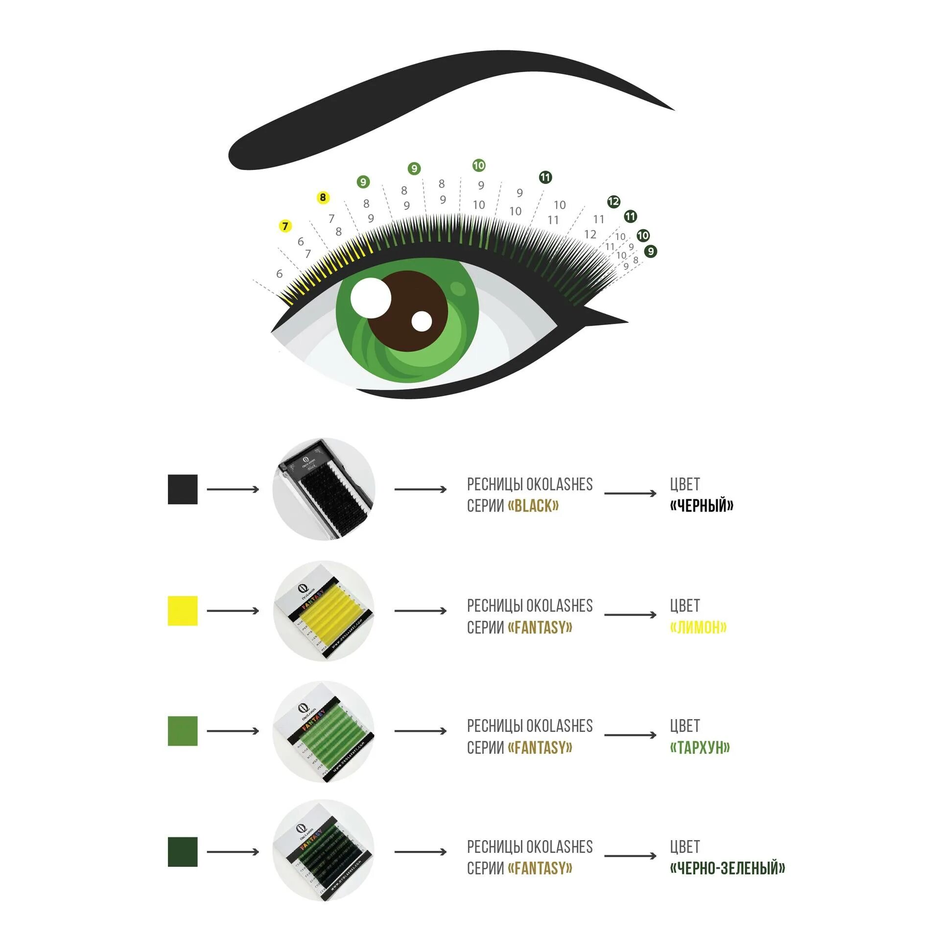 Цветное наращивание ресниц схема. Схемы наращивания ресниц с цветными ресницами. Схема наращивания цветных ресничек. Цветное наращивание ресниц схема. Схема ким кардашян наращивание ресниц.