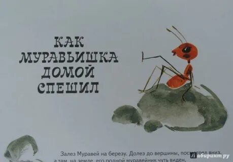 Бианки как муравьишка домой собирался текст