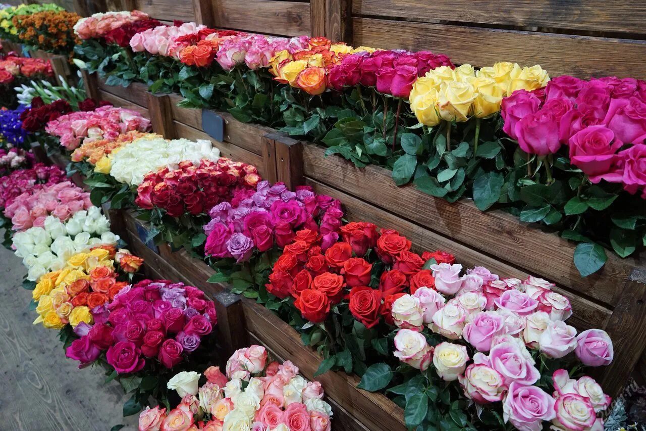 Все цветы по одной цене. Цветочная база Рижский рынок. Розы Рижский рынок. Рижский рынок цветов Москва. Рижский вокзал Цветочная база.
