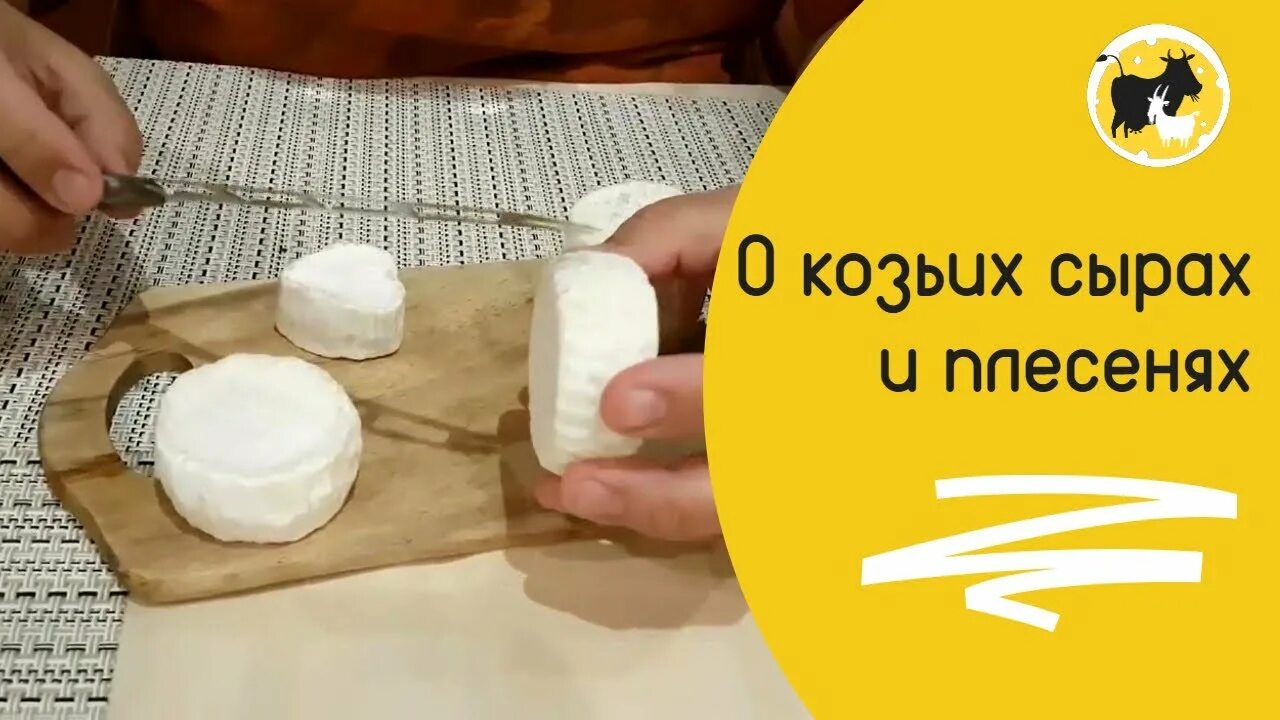 Как проверить сыр. Домашний козий сыр. козий сыр в домашних условиях. сыры группы паста филата. козий сыр в рассоле.