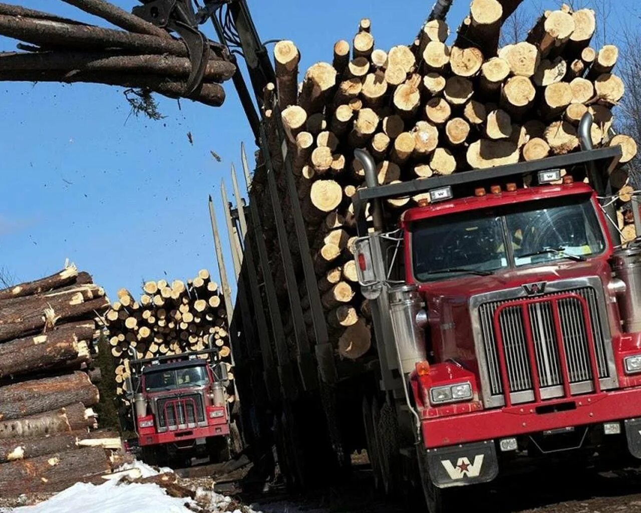 Western Star 4900 logging Truck. Грузовики Комацу лесовоз. Комацу Ниссан лесовоз. Лесовоз дров.