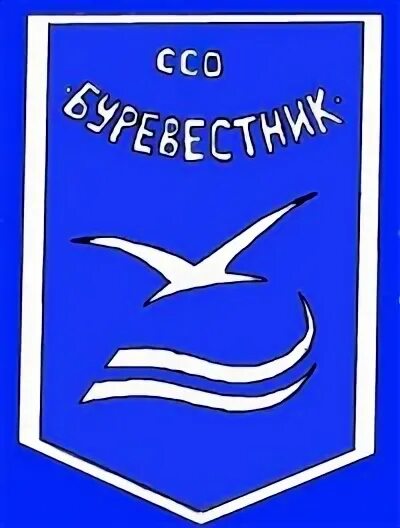 Футбольная команда буревестник москва. Название и девиз команды буревестник. Эмблема клуба буревестник. Эмблема для команды. Отряд буревестник.