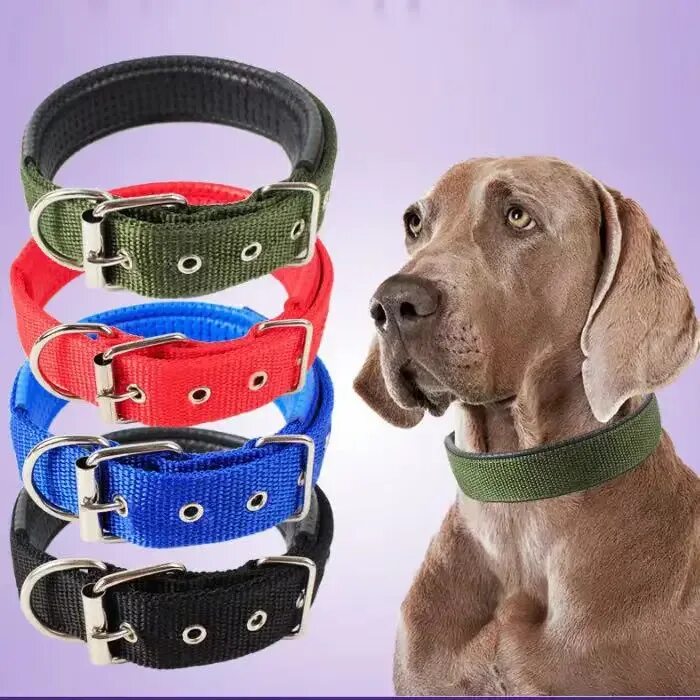 Лабрадор ретривер ошейник. Soft Foam Padded Dog Collar durable nylon Pet. Ошейник для собак лабрадор ретривер. Нейлоновый ошейник для собак. Самые лучшие ошейники для собак