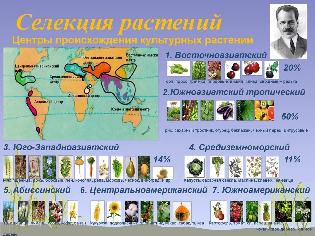 Вавилов центры происхождения культурных растений карта. Центры культурных растений Вавилова. Карта Вавилова центры происхождения культурных растений. Вавилов центры происхождения культурных растений таблица.