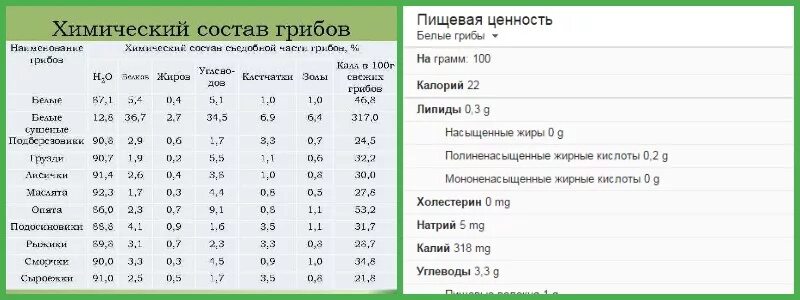 Состав грибов шампиньонов химический таблица. Пищевая ценность грибов таблица. Энергетическая ценность грибов таблица. Химический состав и пищевая ценность грибов. Сколько белков в белом грибе