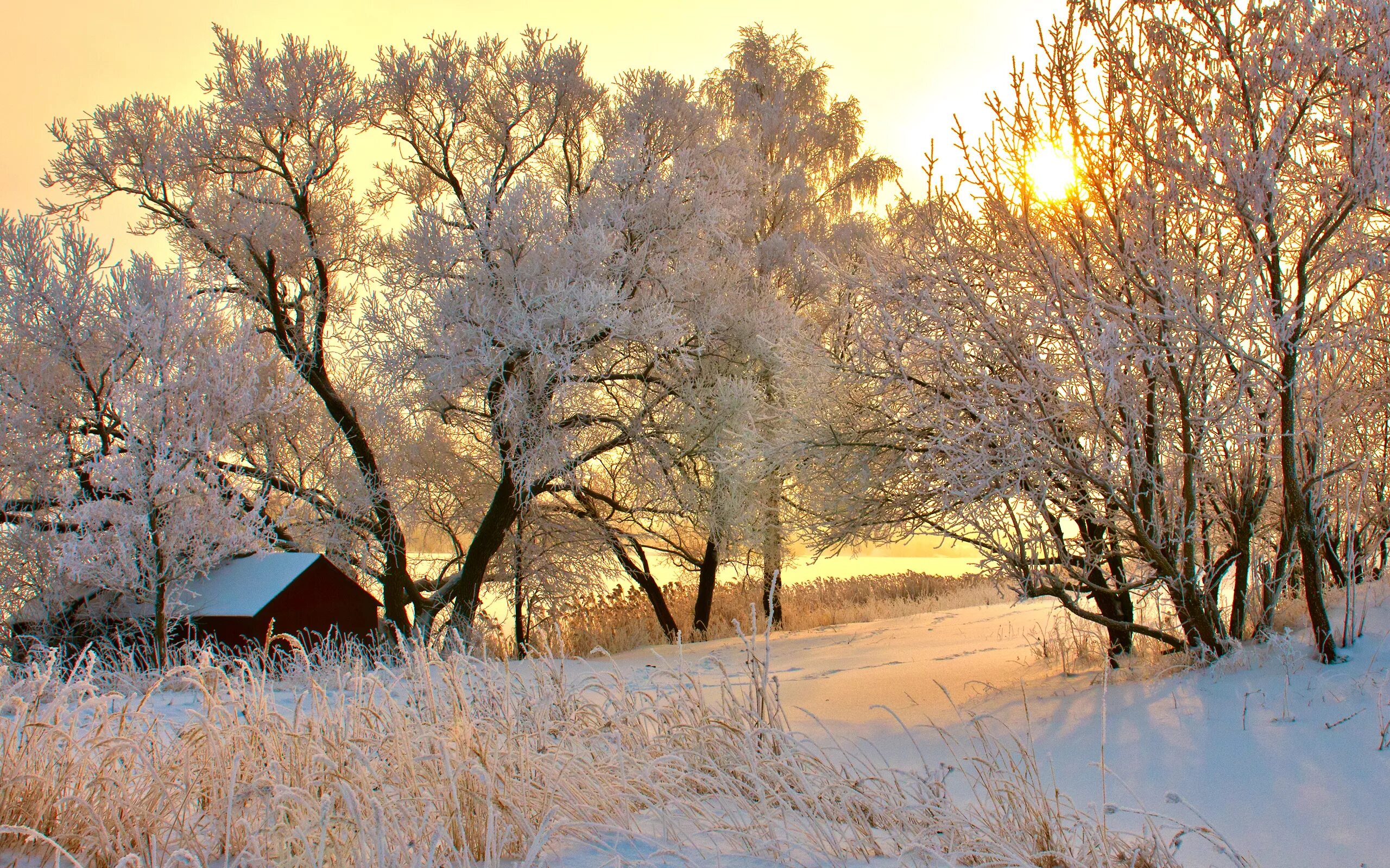 Мало тепло деревня. Зима в деревне. Зима пейзаж. Зимняя деревня. Ранняя зима.