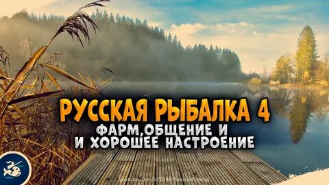 Рр4 фарм